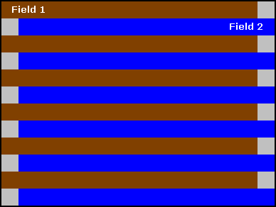 An interlaced video frame contains two fields
