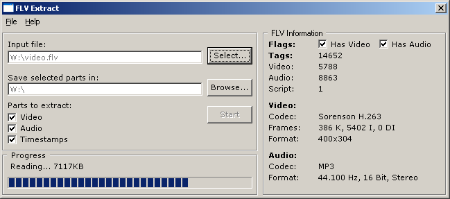 FLV Extract Image